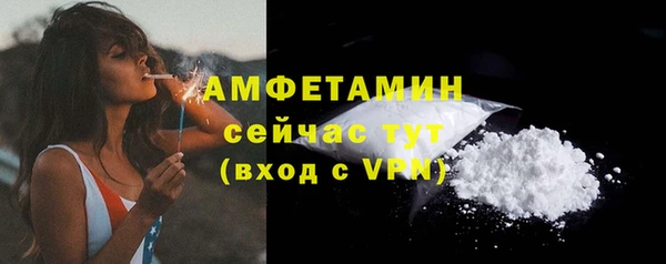 молекула духа Белокуриха
