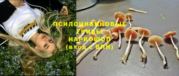 стаф Белоозёрский